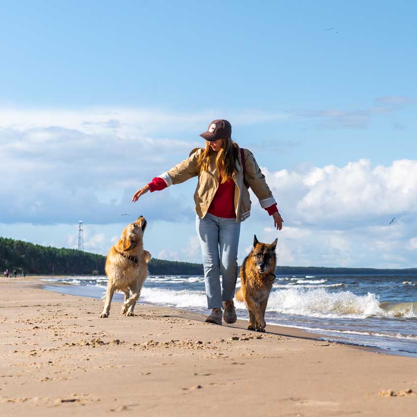 Ferienhaus-Urlaub-mit-Hund-Zingst Typical Ofrenda