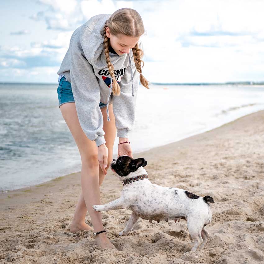 Hundestrand-Zingst-Urlaub-Ferienhaus