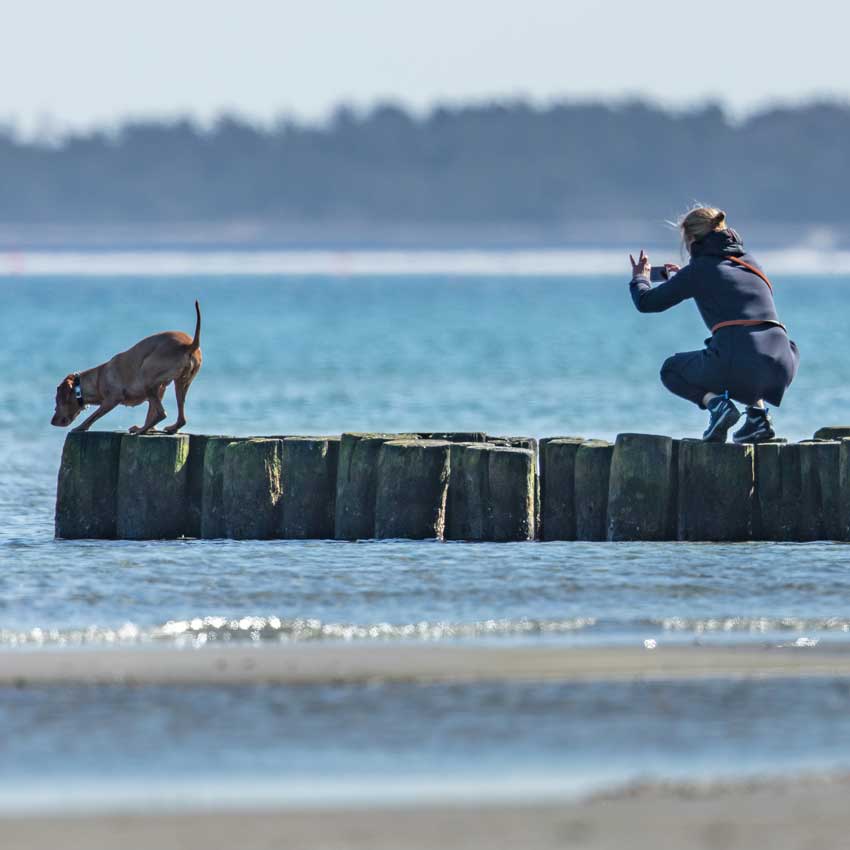 Urlaub-4-Beiner-Zingst-Hundestrand-Ferienhaus Regional Food