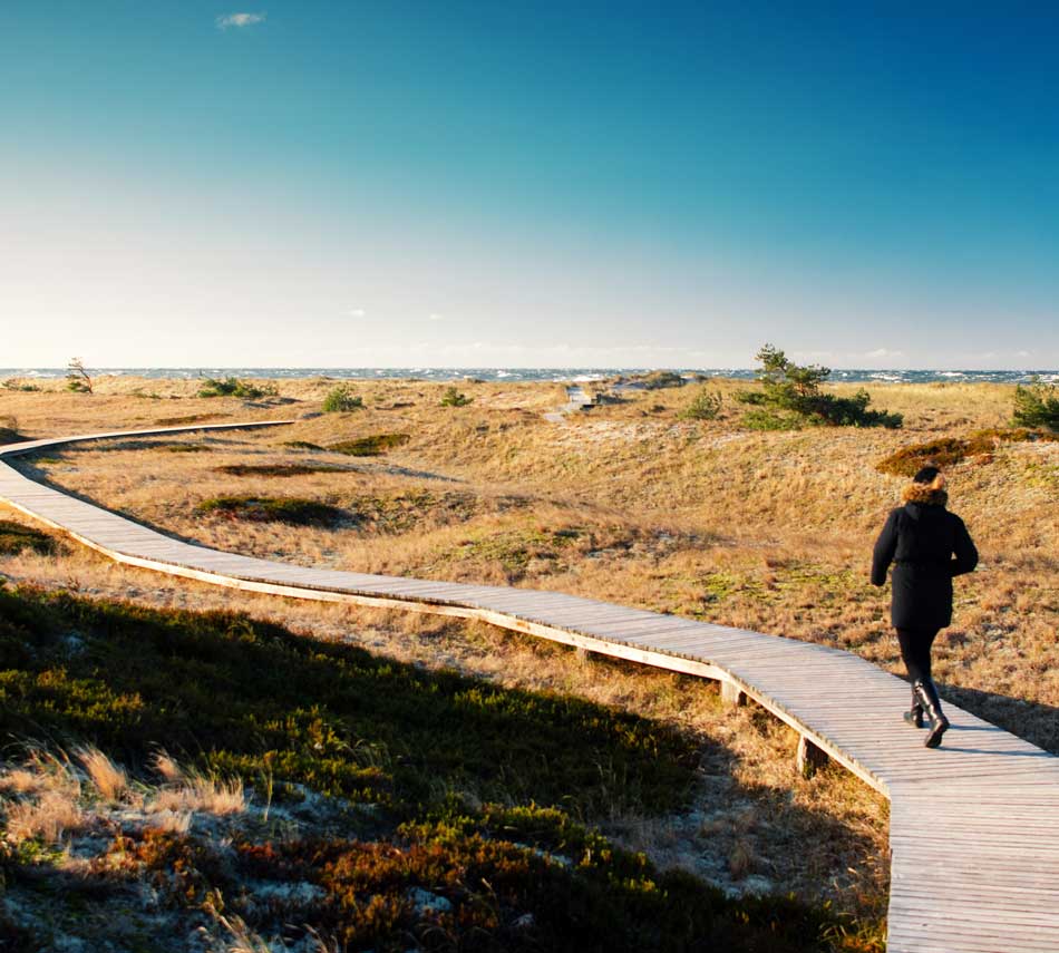 Wandern-in-Zingst-Ferienhaus-Ostsee-Perle