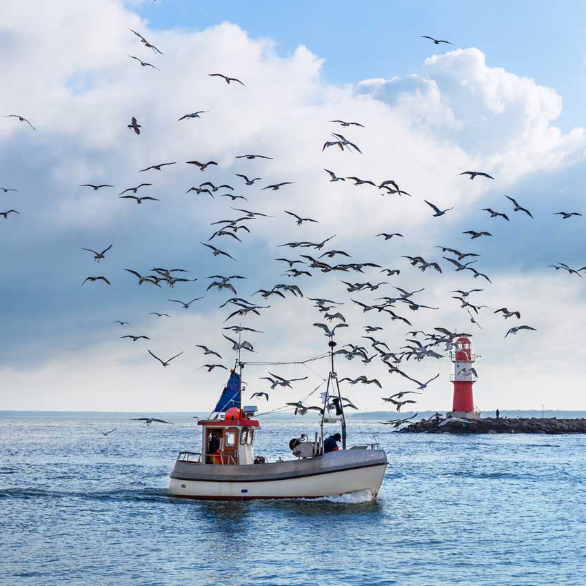 Zingst-Ostseeheilbad-Perlen-der-Ostseejpg